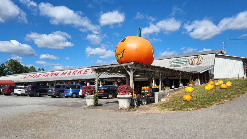 A Farm Market Stop on Cornelia Highway
