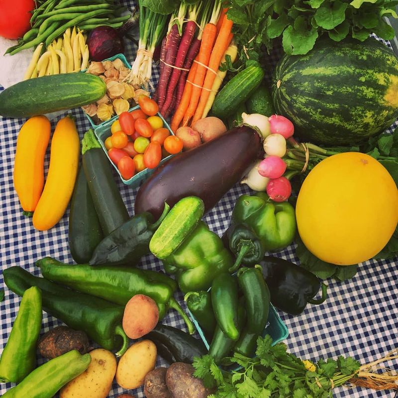 A Farm Stand on Hebron Avenue