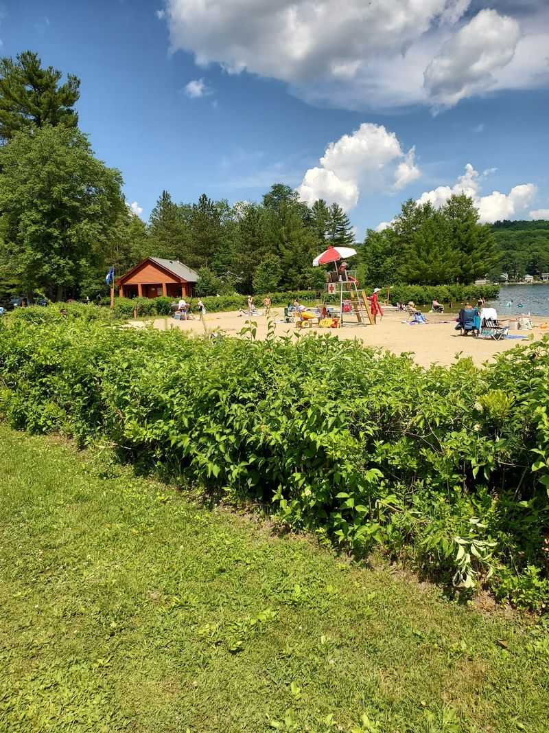 A Forty-Acre Retreat At The End Of Lakeview Road A Forty-Acre Retreat At The End Of Lakeview Road