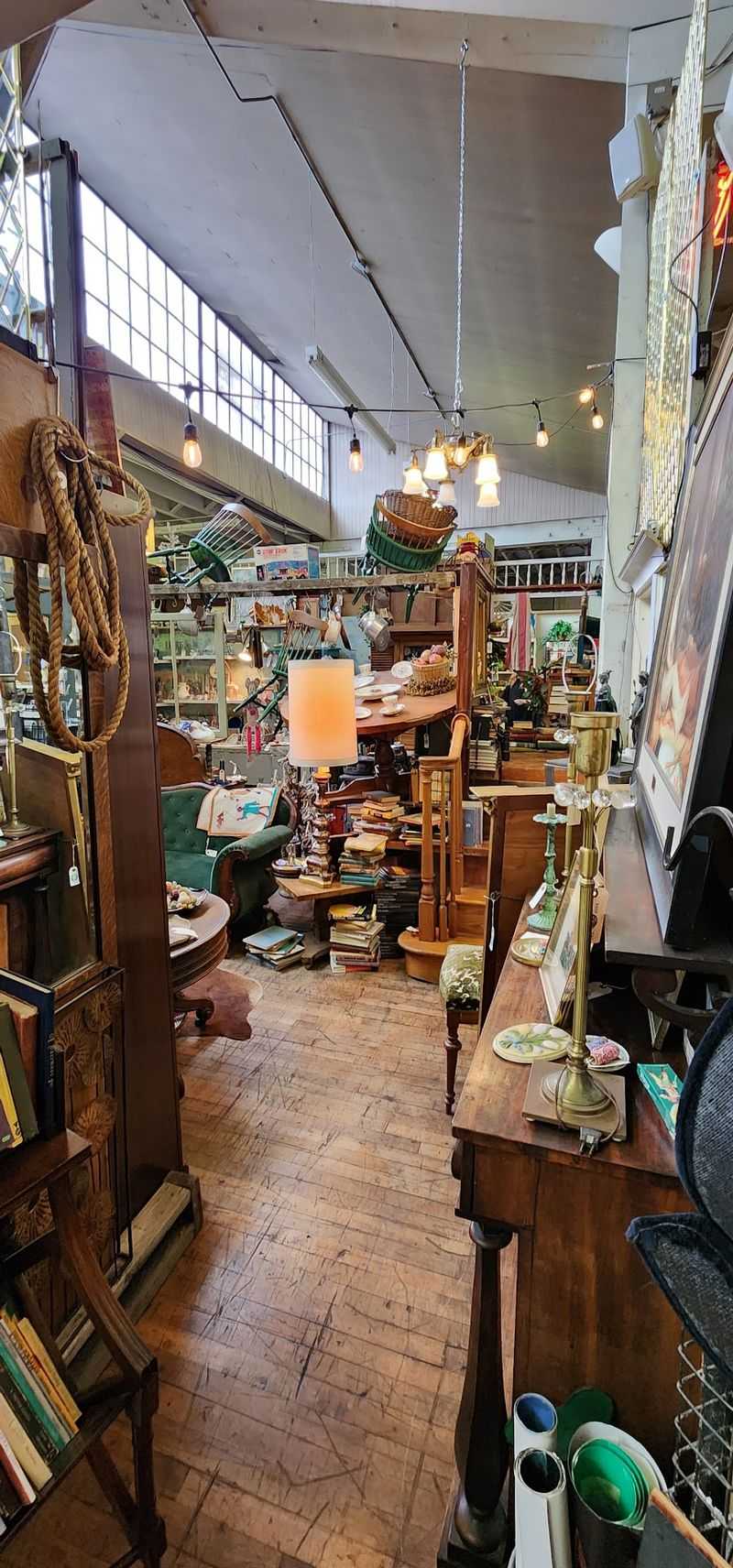 A Free Library Hidden Among The Treasures