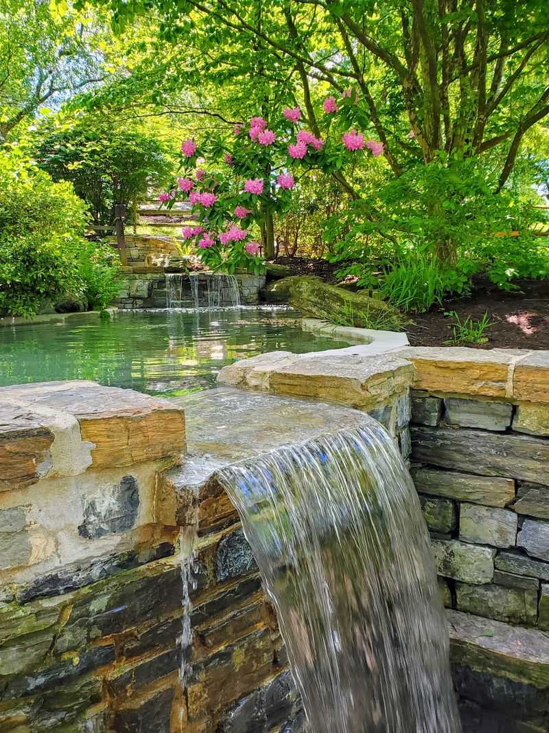 A Garden Built Around Five Senses