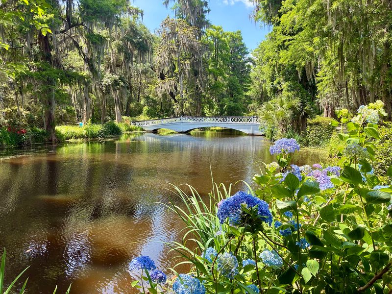 A Garden Rooted Just Outside Charleston A Garden Rooted Just Outside Charleston