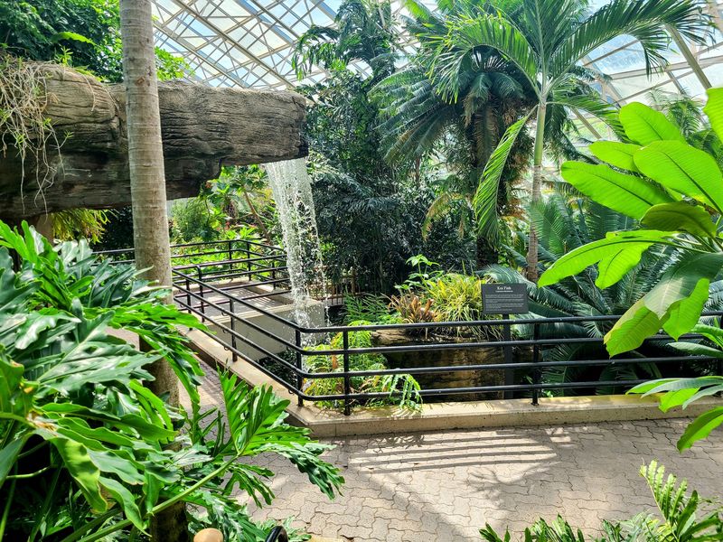 A Green Retreat In The Heart Of Fort Wayne A Green Retreat In The Heart Of Fort Wayne