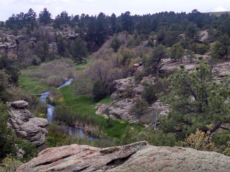 A Haven for Birds and Wildlife