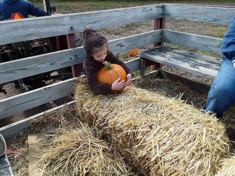 A Hayride Full of Scarecrows