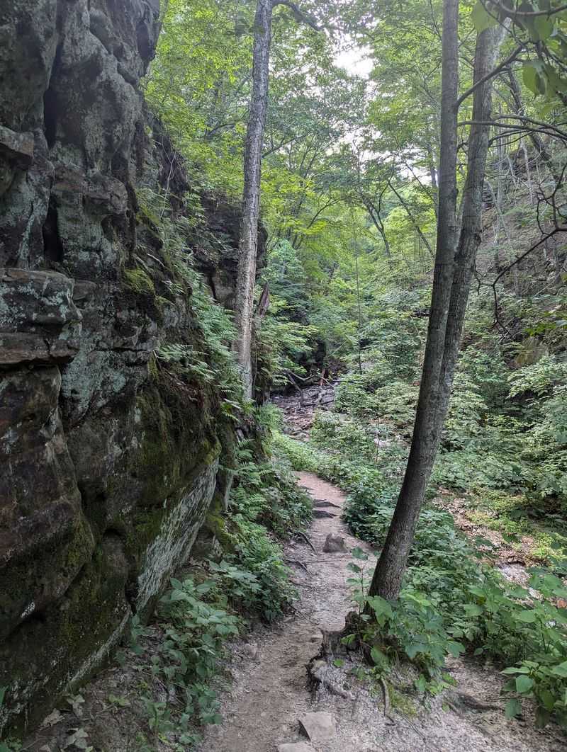 A Hidden Ravine Off County Road DL