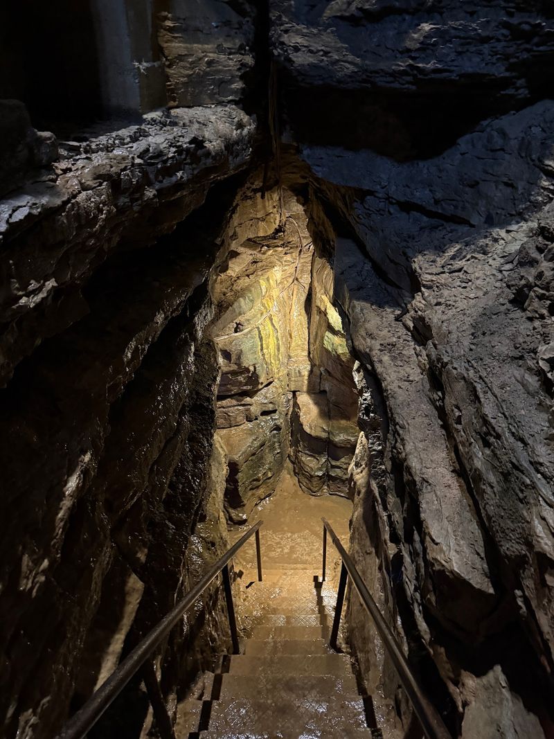 A Home Road Address With a Secret Basement