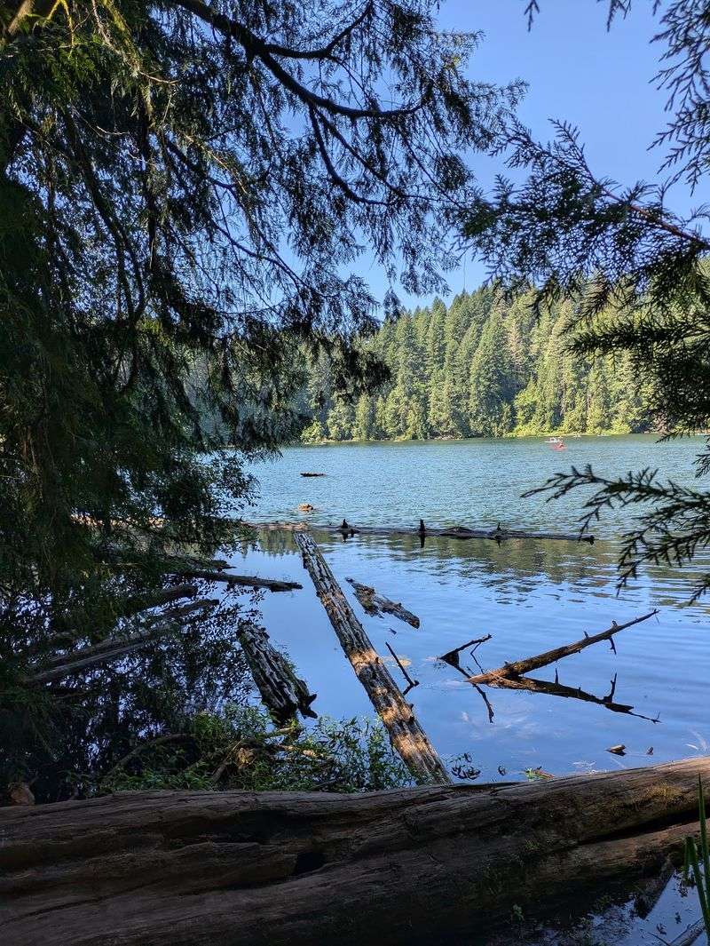A Lake Born From Fire