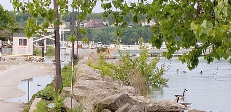 A Lake View That Comes With Your Meal A Lake View That Comes With Your Meal