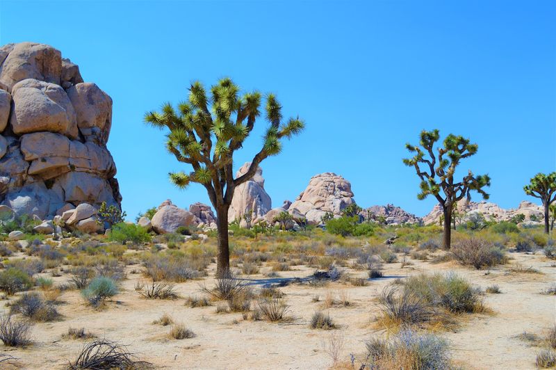 A Landscape That Shapes Every Story