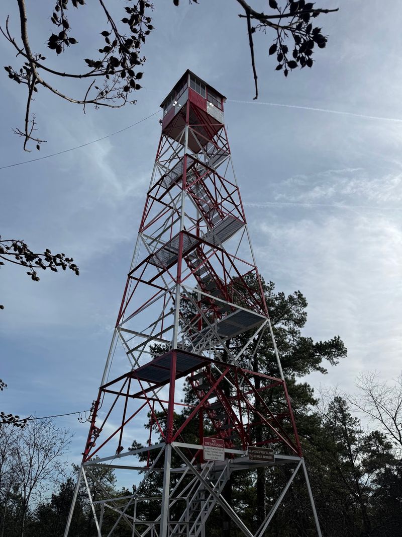 A Lookout Built To Watch Over The Forest