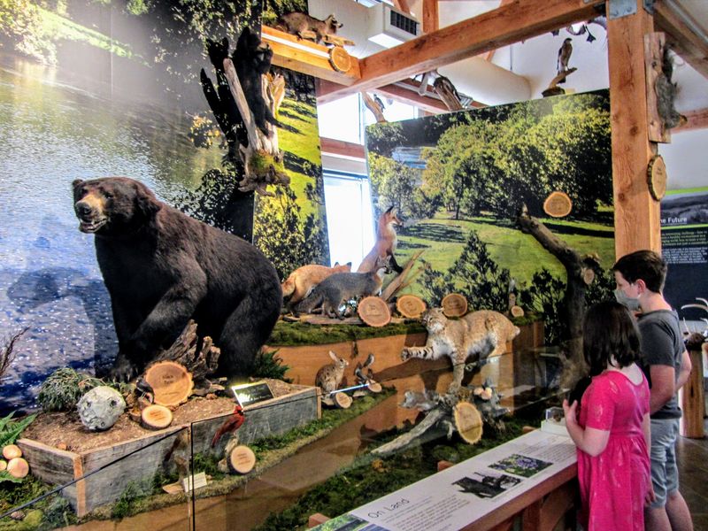 A Modern Visitor Center with Live Animals A Modern Visitor Center with Live Animals