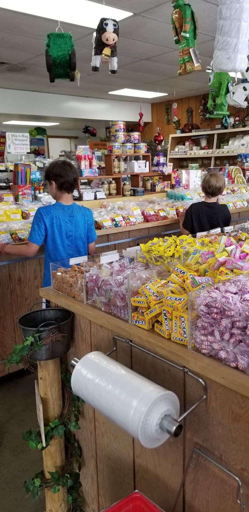 A Nostalgic Trip for All Ages