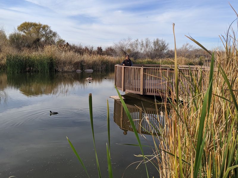 A Paradise For Bird Enthusiasts A Paradise For Bird Enthusiasts