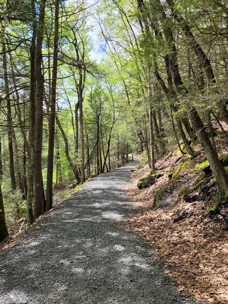 A Peaceful Escape Away From Traffic Noise