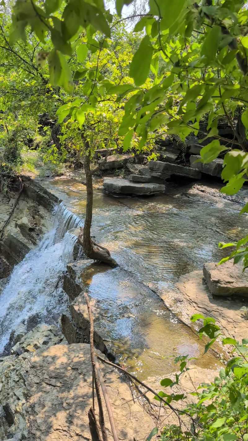 A Peaceful Escape for Families and Kids