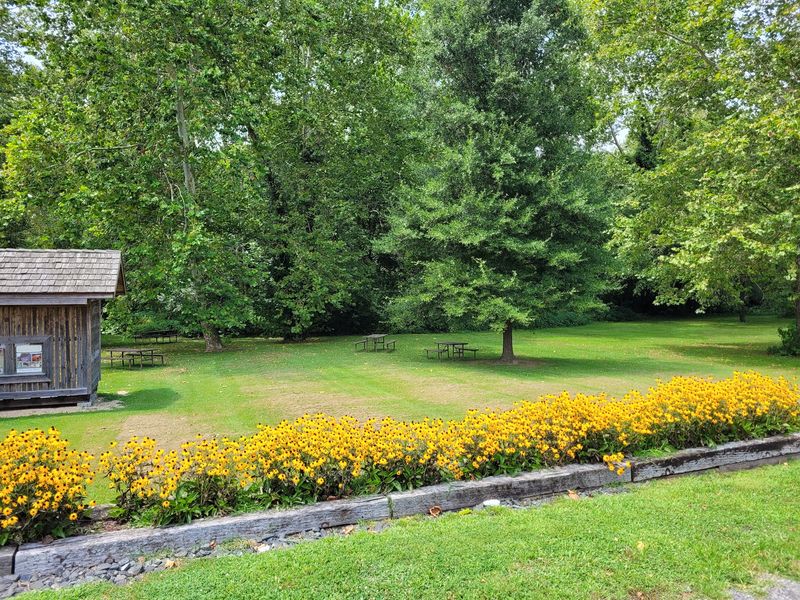 A Peaceful Picnic Along the Byway