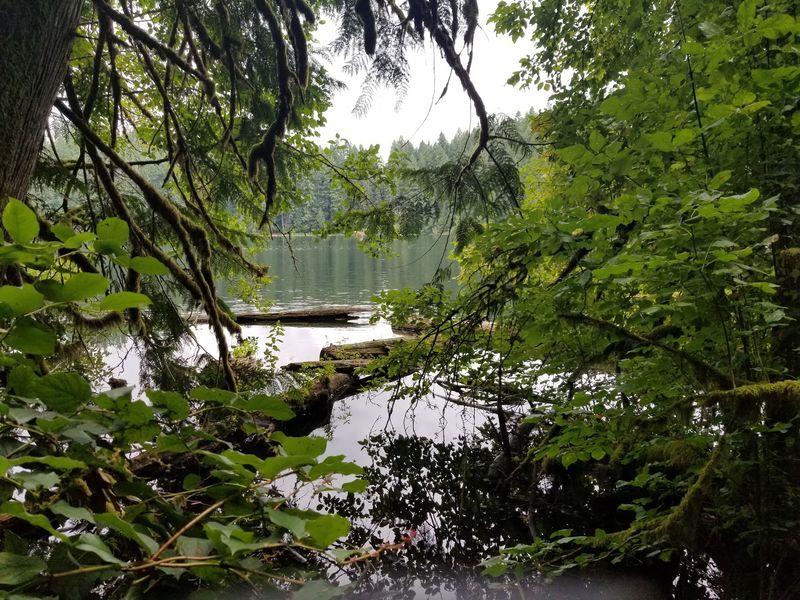 A Peaceful Place To Recharge