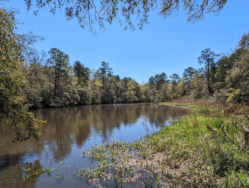 A Peaceful Riverside Spot for a Picnic