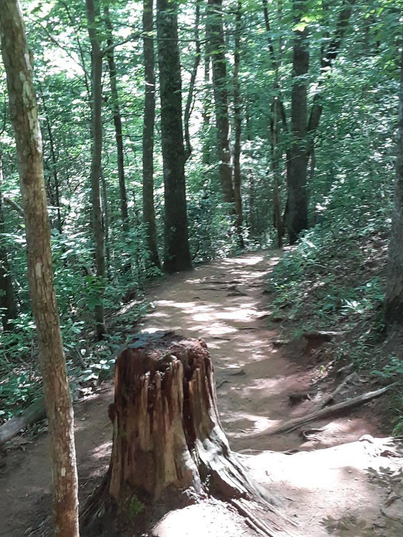 A Peaceful Trail That Suits Families and Beginners