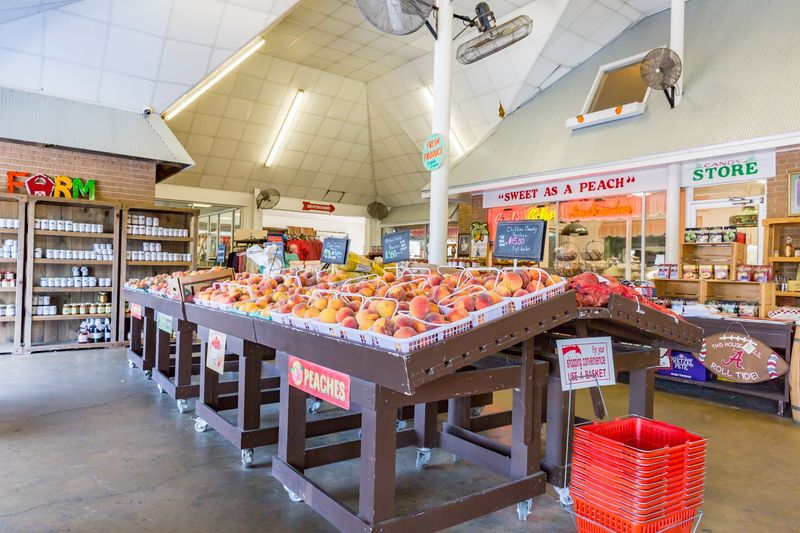 A Peach-Flavored Legacy In Central Alabama A Peach-Flavored Legacy In Central Alabama