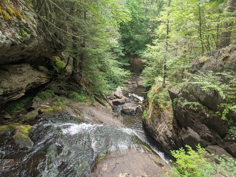 A Peek From the Top of the Falls