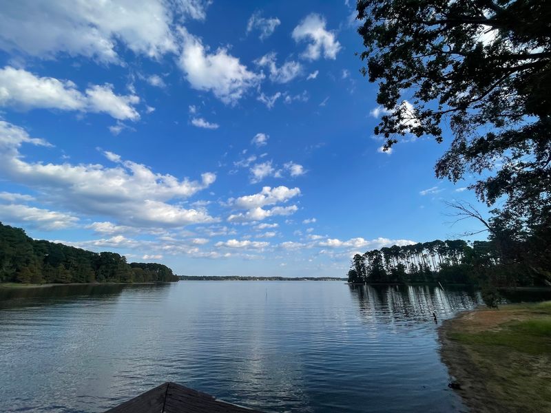 A Peninsula Park on the Edge of Toledo Bend