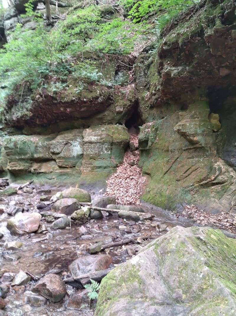 A Petite Waterfall With a Bonus Upstream