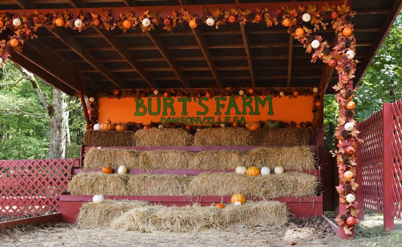 A Photographer's Dream Backdrop A Photographer's Dream Backdrop