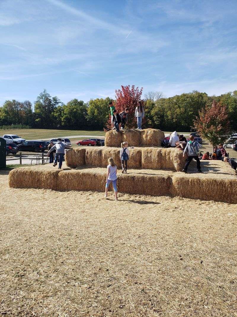 A Playground And Hay Pile For Endless Energy
