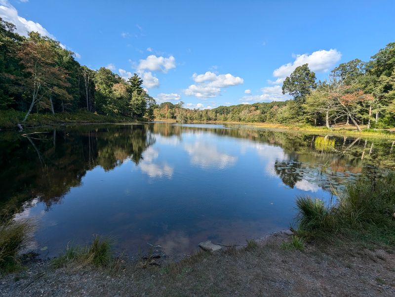 A Pond For Swimming And Casting A Line