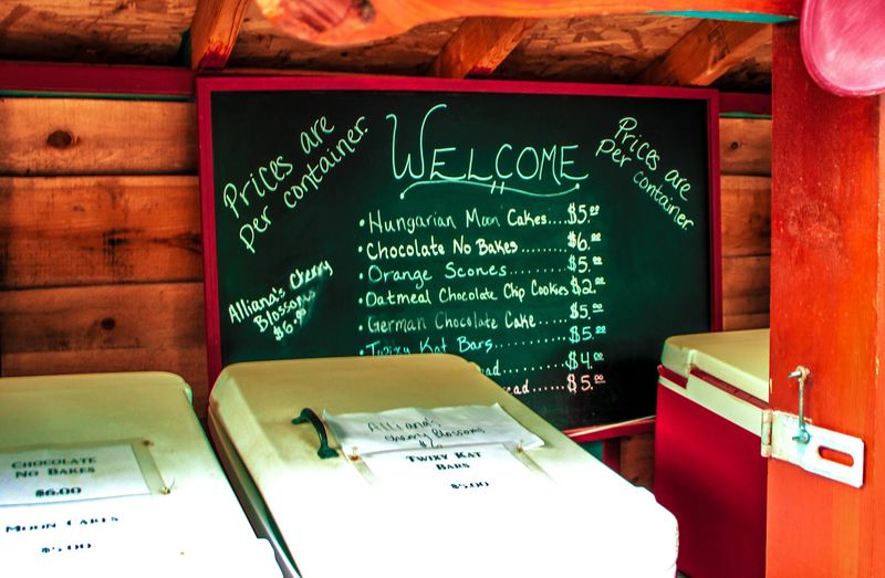 A Quick Snack Stop Worth Planning