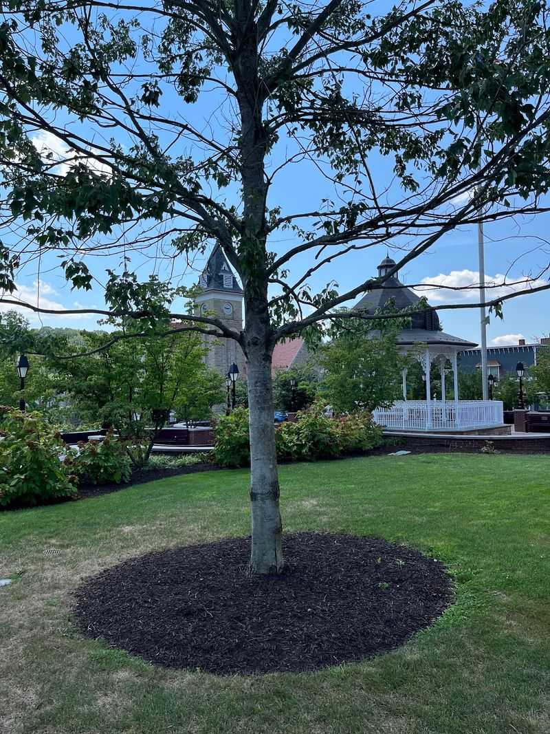 A Quiet Case for Ligonier