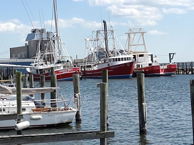 A Quiet Coast Worth Considering