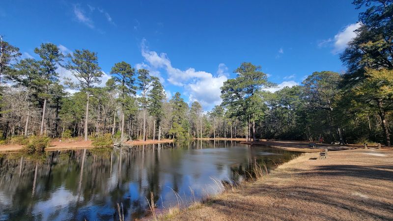 A Quiet Corner Off Interstate 20
