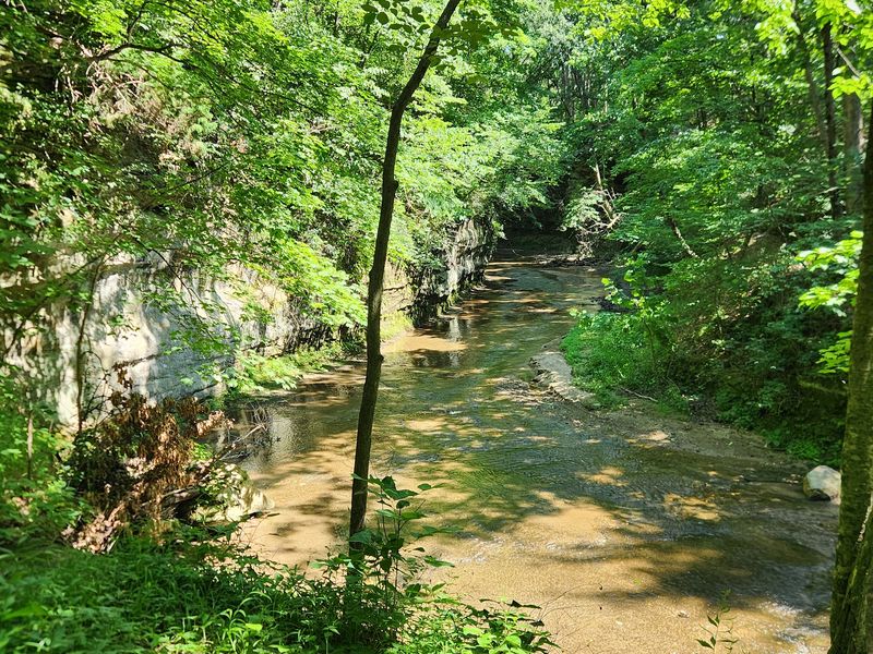 A Quiet Escape From The Crowds