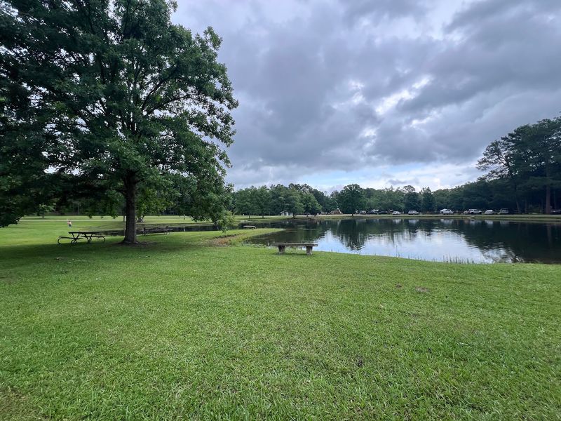 A Quiet Fishing Pond for Rod and Reel