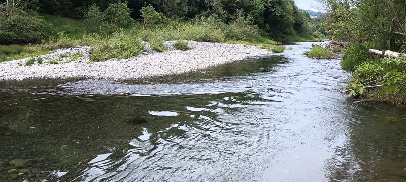 A Quiet Spot for Bank Fishing