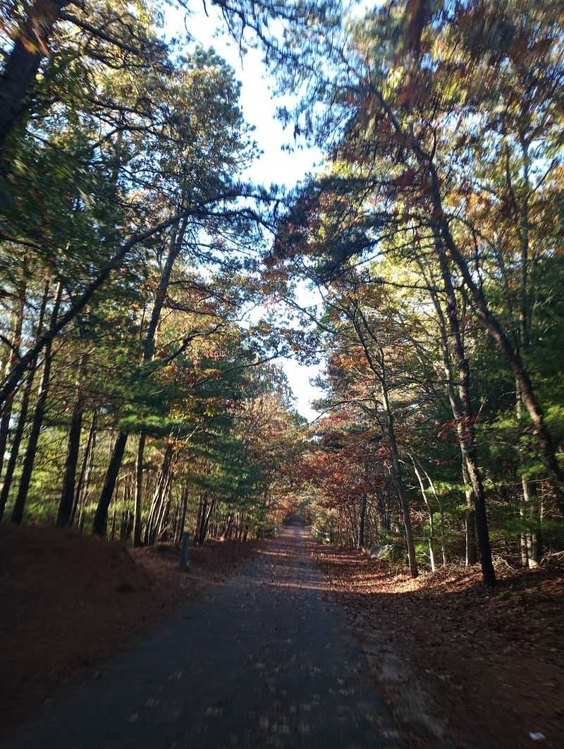 A Railroad Reborn as a Pathway
