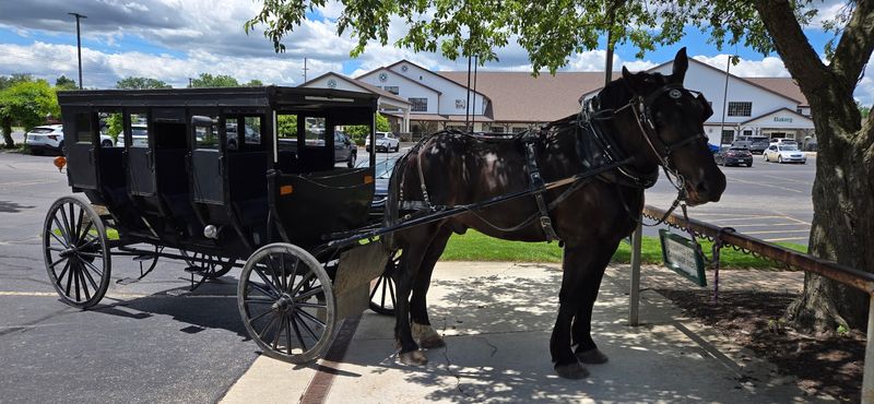 A Ride Around The Grounds