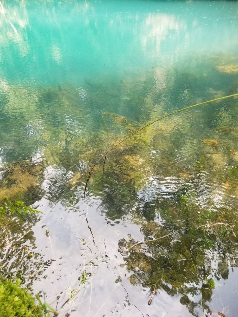 A River Built For Floating