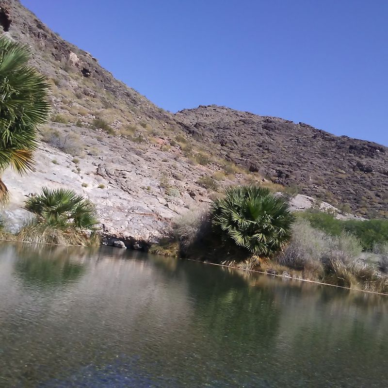 A River Runs Beside It A River Runs Beside It