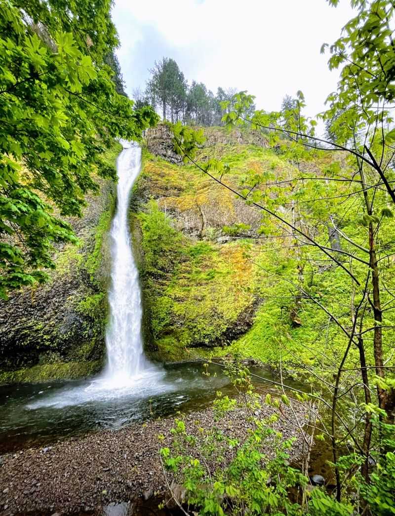 A Roadside Waterfall in the Oregon Gorge