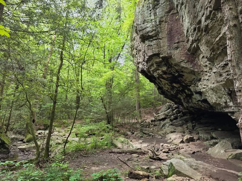 A Rugged Trail That Tests Your Footing