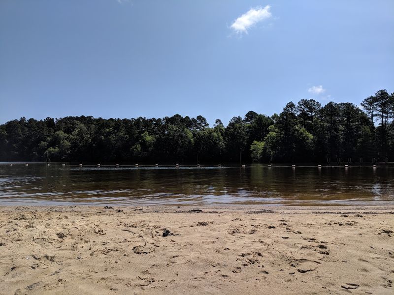 A Sandy Beach Made For Splashing Around A Sandy Beach Made For Splashing Around
