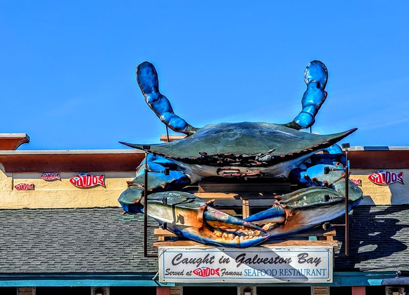 A Seawall Address Marked by a Big Blue Crab