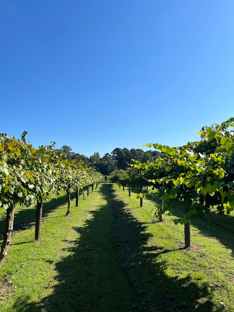 A Secret Garden Winery, Pikeville, NC