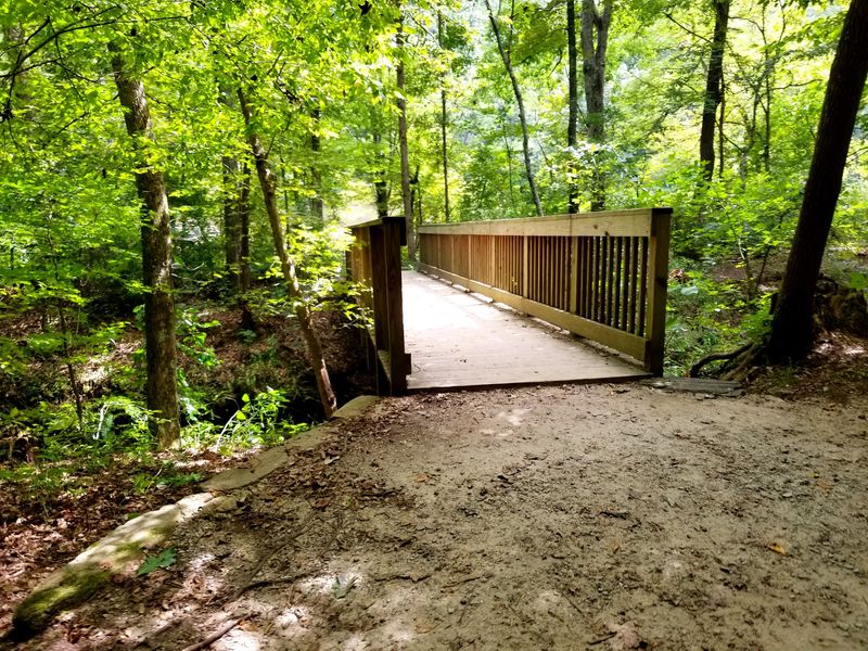 A Shaded Walk That Most Anyone Can Manage A Shaded Walk That Most Anyone Can Manage