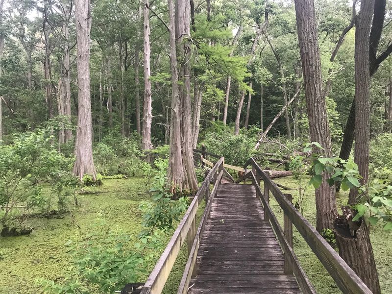 A Short Loop That Packs In Two Habitats