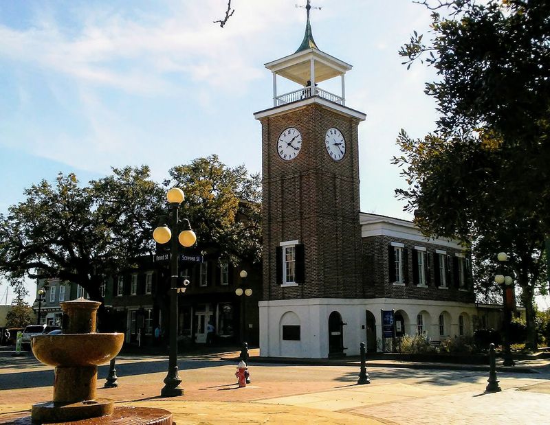 A Small City Anchoring Georgetown County